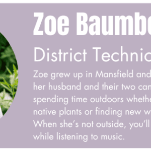 Zoe – Newsletter
