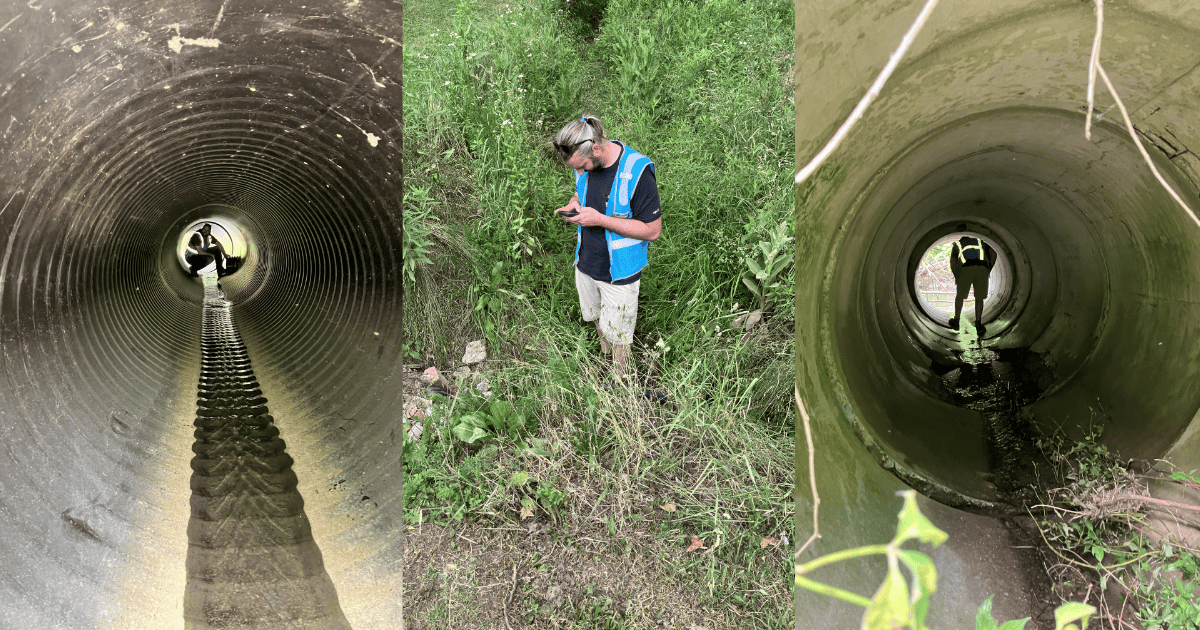 A collage of Sam performing MS4 inspections. On the left, Sam is featured in a culvert pipe - he's hard to see but he's crouched down and smiling at the camera. In the middle photo he's standing in thick vegetation writing an inspection report on his phone. In the right photo, Sam is walking through a culvert pipe. He's bent at the waste with his back towards the camera. His legs are wide spread around the water flowing through the pipe.