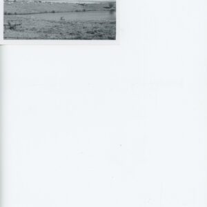 Contour Strips in Background of a Farm Field