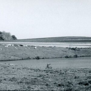Contour Strips in Background of Farm Field