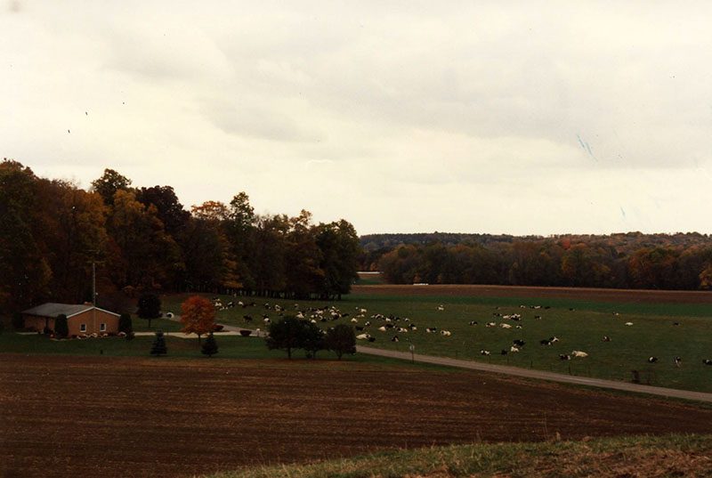Conservation Winner: Cook Farm
Photo ID#: RSWCD617