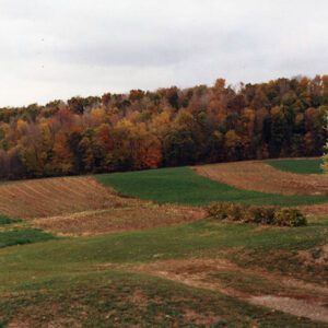00_00_0000_Cook_Farm_13_Website-5733