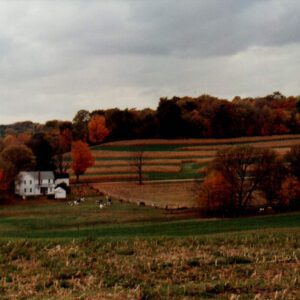 Farm Landscape
