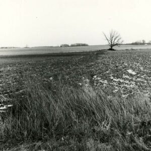Left side of a field has mold board plowing while the right side has chisel plowing
