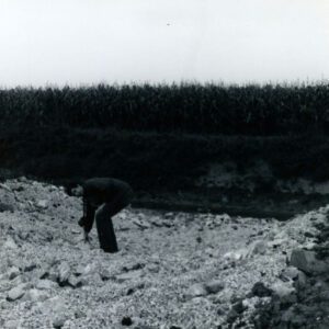 Man picking up a large rock in a farm field