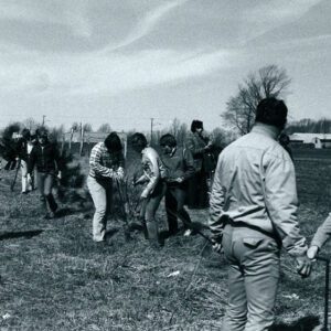 Men and young people planting trees