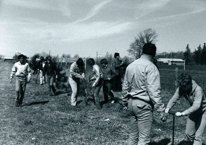 Planting Trees
Photo ID#: E139