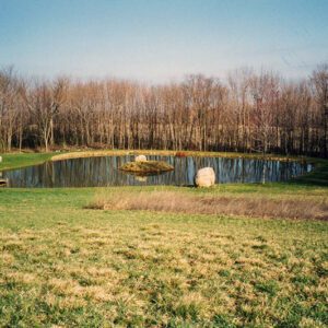Pond