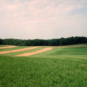 Snyder Farm