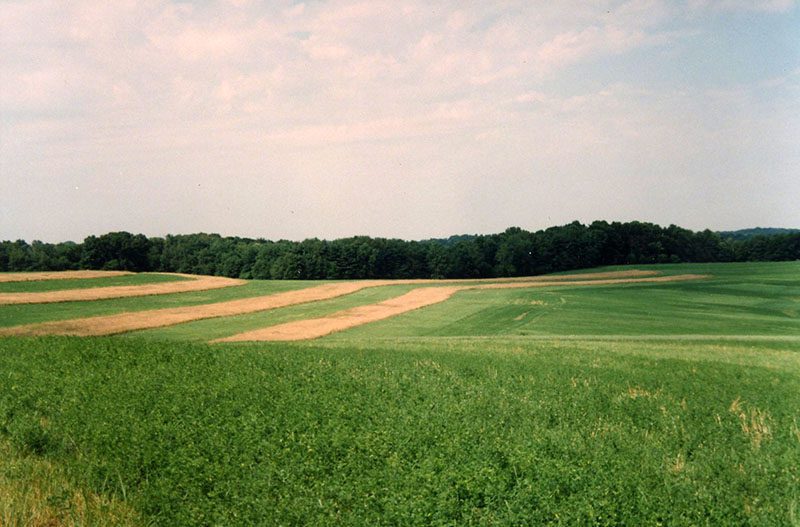 Snyder Farm
Photo ID#: A1001