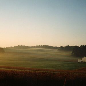 Snyder Farm