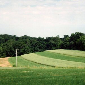 Snyder Farm