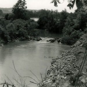 00_00_0000_Stream__1_website-5405