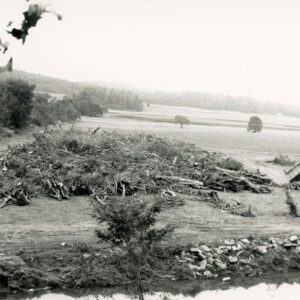 00_00_0000_Truck_dumping_into_a_pile_of_tree_rubble__1_website-5409
