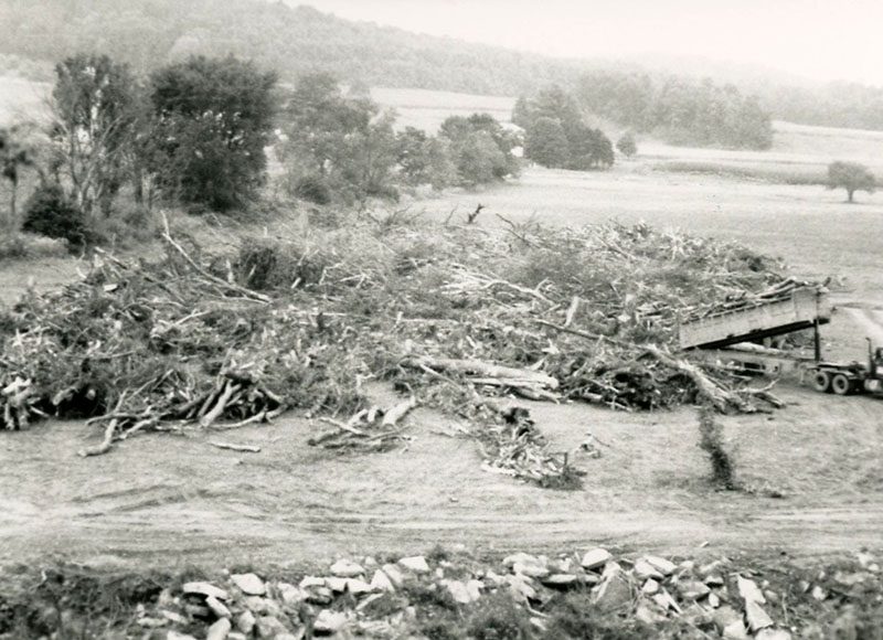 Truck dumping into a pile of tree rubble
Photo ID#: RSWCD574
