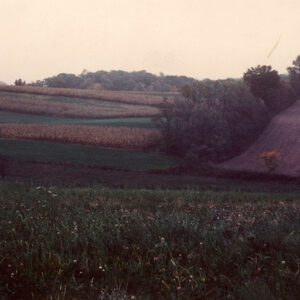 View of a field with contour stripping