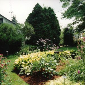00_00_0000_W_G_Landscape_plants___flowers_1_Website-5665
