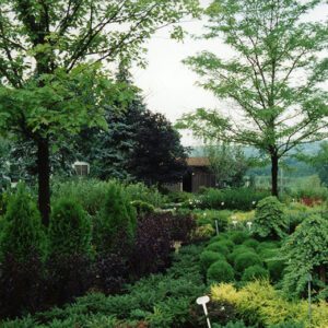 00_00_0000_W_G_Landscape_trees_1_Website-5668