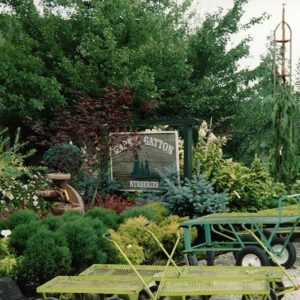 00_00_0000_W_G_Landscape_trees_8_Website-5675