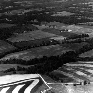 Strip crops