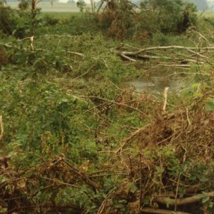 00_00_1990_Tornado._Cedar_Fork.W.Bellville_5_Website-5903