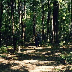 1999 Forestry Contest