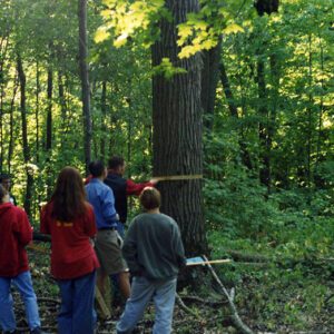 199 Forestry Contest