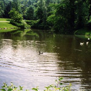 00_07_1998_Malabar_Farm_State_Park_1_Website-5703