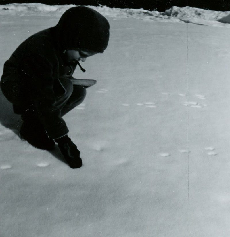 January 26, 1968
Ed Lenger's windbreak, Tracking rabbits
Photo ID#: S707