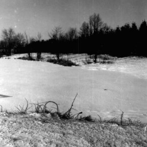 02_10_1968__1_website-4821