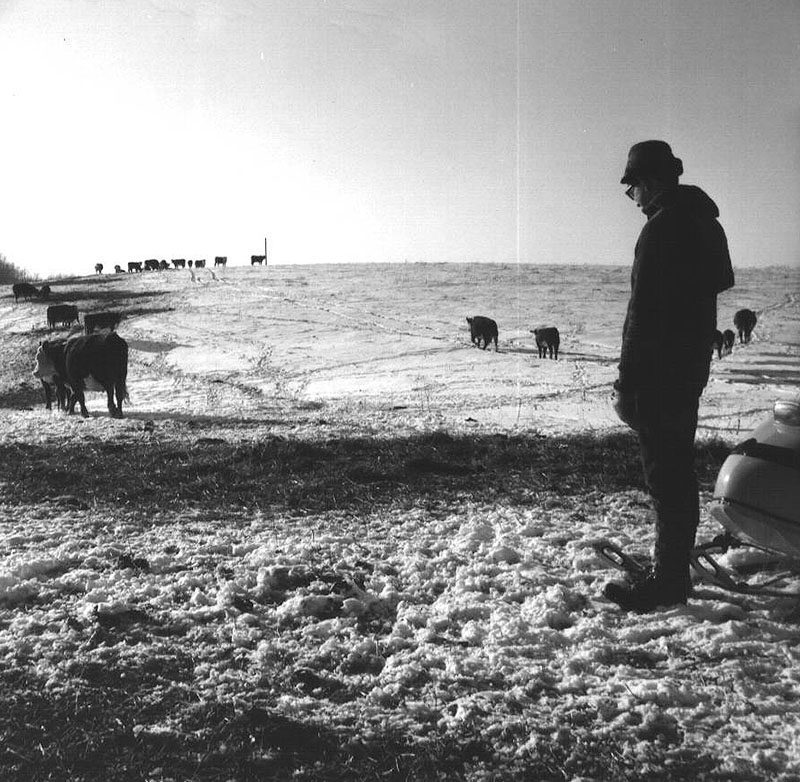 February 12, 1986
Steve Winters
Photo ID#: A293