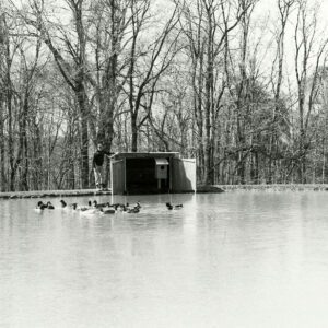 02_15_1981_Duck_Box_with_predator_protection._Gunthes_Meise_Pond_website-5874