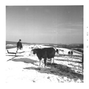 February 16, 1970. Ralph Winters Farm