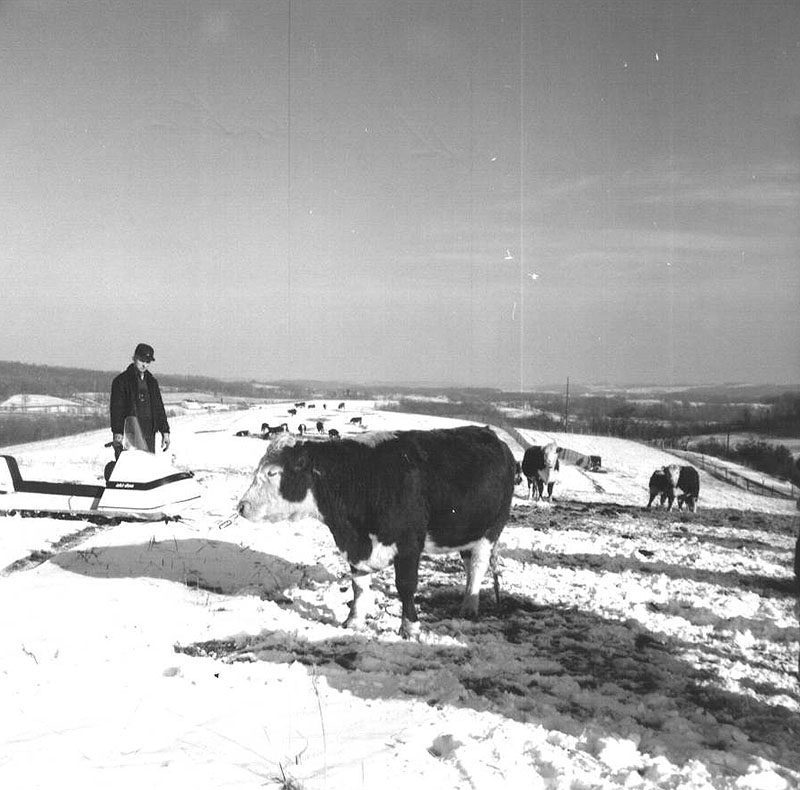 February 16, 1970
Ralph Winters
Photo ID#: A297