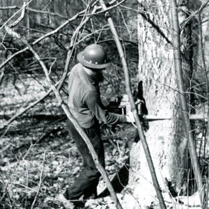 03_06_1973_Levi_Mast__timber_cutter__is_shown_as_he_harvests_a_mature_tree_at_the_Ed_Arnold_Woods_website-3811