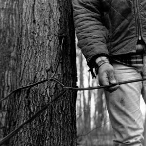 March 6, 1975 Greg Benson is shown with a tubing hop connection at the Harry Benson sugar bush