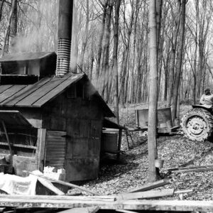 March 8, 1968 Harry Benson maple sugar camp