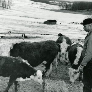 March 15, 1968. Ralph Winters, Winter grazing of livestock