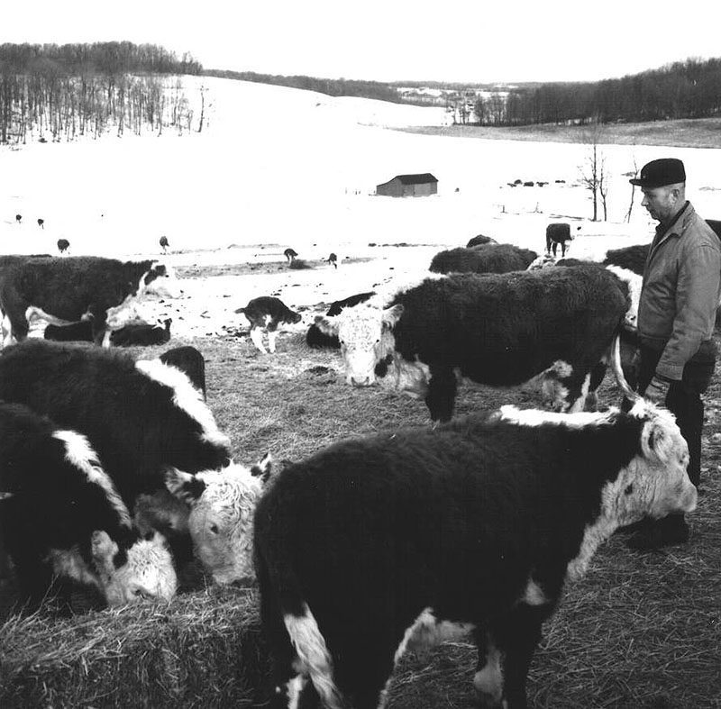March 15, 1968
Ralph Winters
Photo ID#: A302
