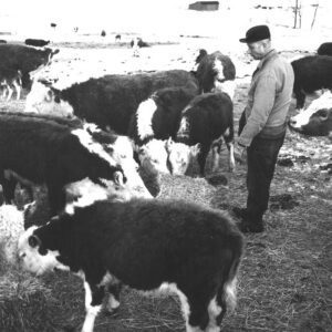 March 15, 1968. Ralph Winters.
