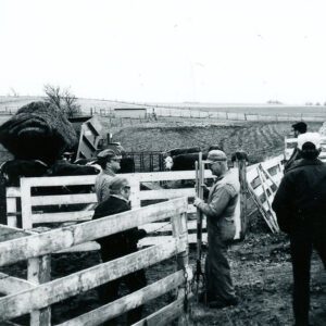 March 19, 1976. Carl Mowry, Farm Bale Tour.