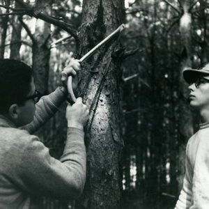 03_22_1966_Dick_Janis___Larry_Brightfield_prunning_red_pine_at_Cye_Reeder_Lumber_Company_Farm_Butler_website-3817