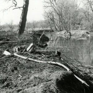 03_87_Cleared___snagged_Blackfork_River_looking_North_towards_London_E._Road__Ferguson_farm_website-3953
