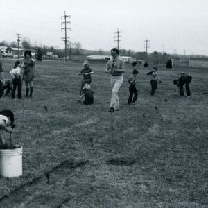 04/1981 Jesse Beer tree planting
