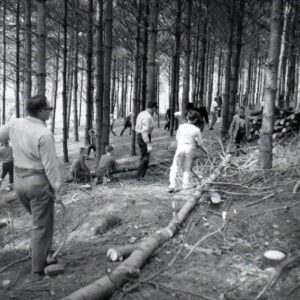 04_08_1967_Timber_Stand_Improvement_website-3455