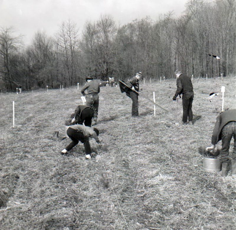 April 10, 1965
Tree Planting
Photo ID#: RSWCD231