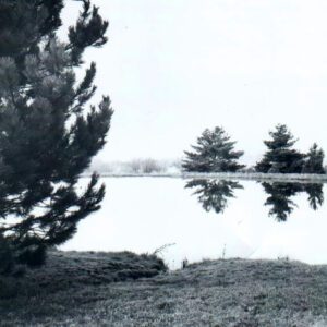 04_11_1968_Lake_website-3488