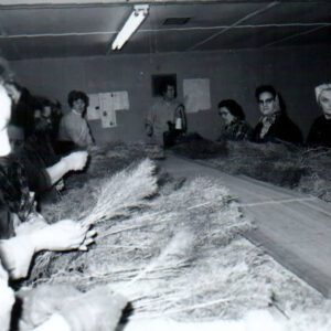 04_11_1968_Suncrest_Nursery_website-3489