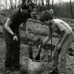 04/13/1981 Boy Scouts planting Tulip Popular for Cooperator John Wirick, Jeff. Twp.
