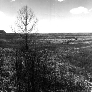04_14_1964_E._Johnson_Pond_website-3970